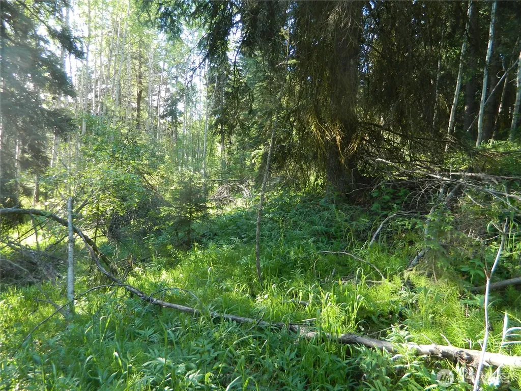 0 Tbd Lake View Drive Oroville WA 98844