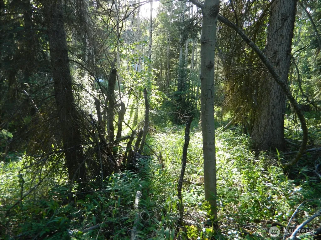 0 Tbd Lake View Drive Oroville WA 98844