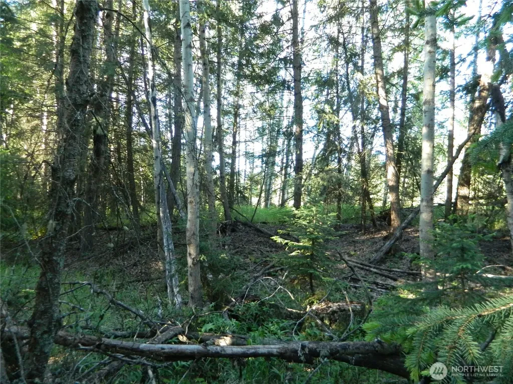 0 Tbd Lake View Drive Oroville WA 98844