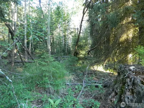 0 Tbd Lake View Drive Oroville WA 98844