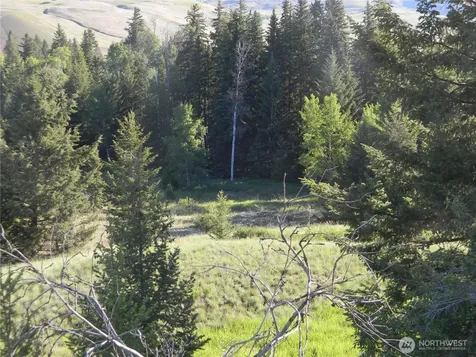 0 Tbd Lake View Drive Oroville WA 98844