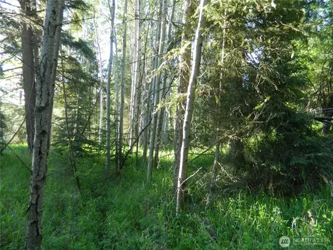 0 Tbd Lake View Drive Oroville WA 98844