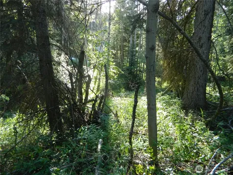 0 Tbd Lake View Drive Oroville WA 98844