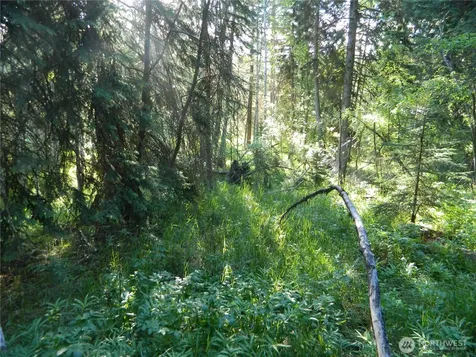 0 Tbd Lake View Drive Oroville WA 98844