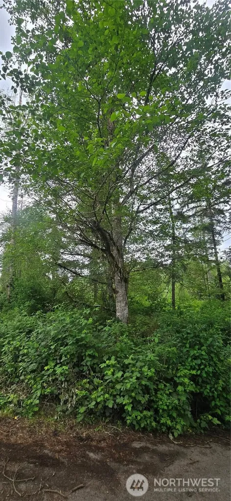 0 Port Gamble Road NE Poulsbo WA 98370