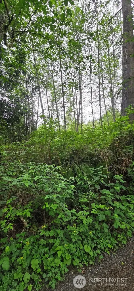 0 Port Gamble Road NE Poulsbo WA 98370