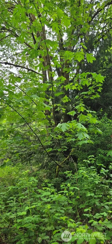0 Port Gamble Road NE Poulsbo WA 98370