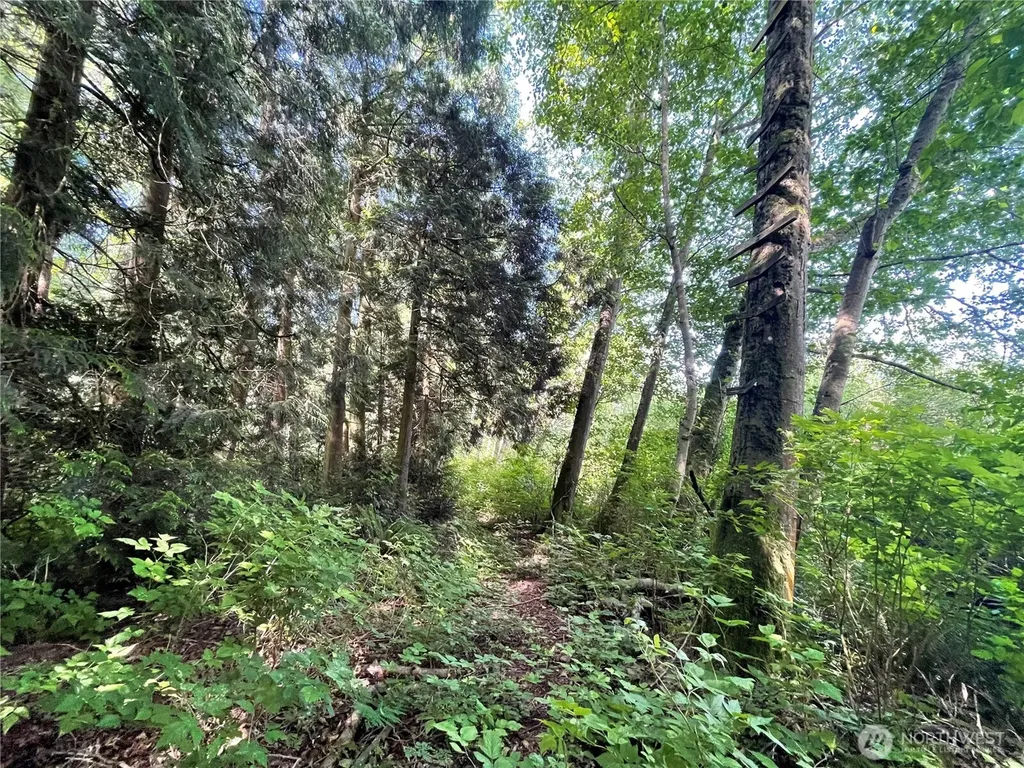 6790 Shelter Lane Ferndale WA 98248