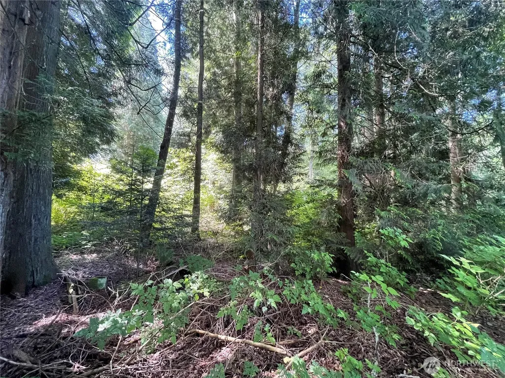 6790 Shelter Lane Ferndale WA 98248