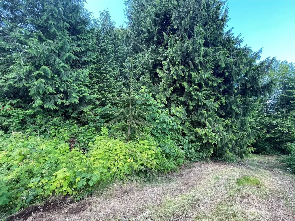 6790 Shelter Lane Ferndale WA 98248