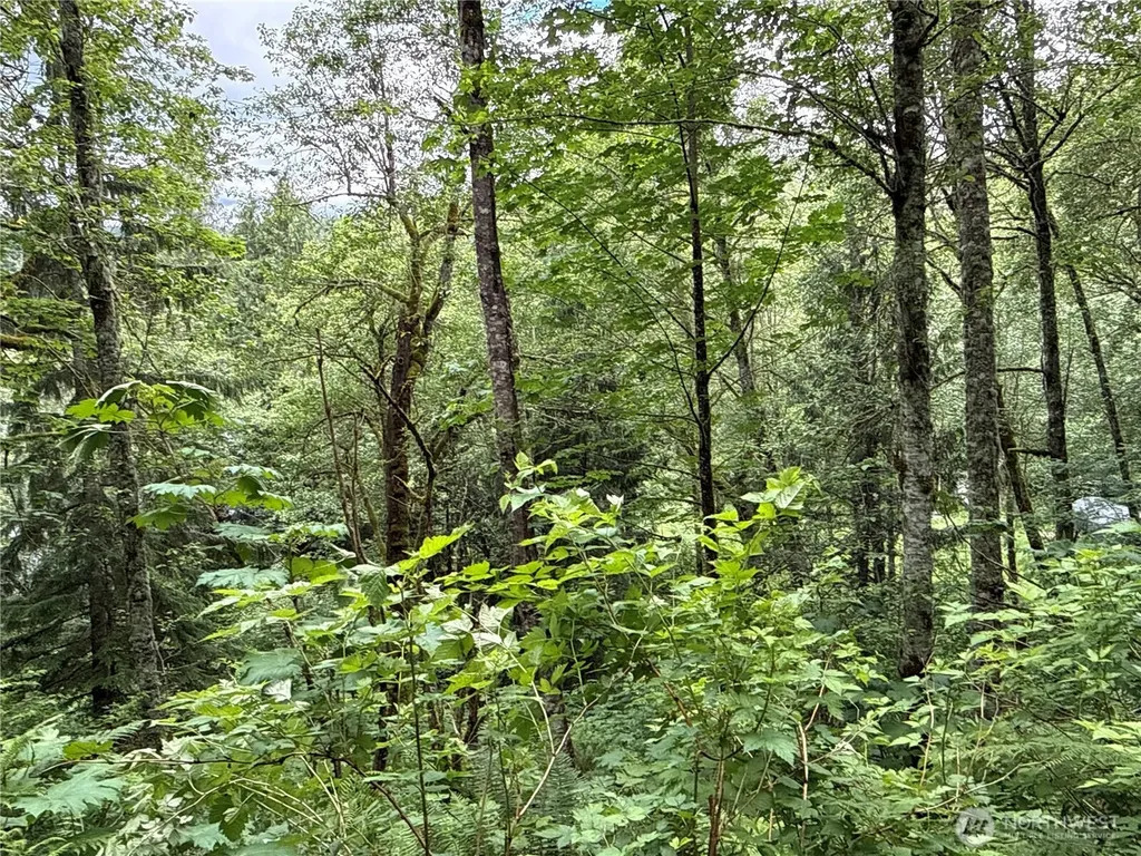 376 E Lake Walker Drive SE Enumclaw WA 98022