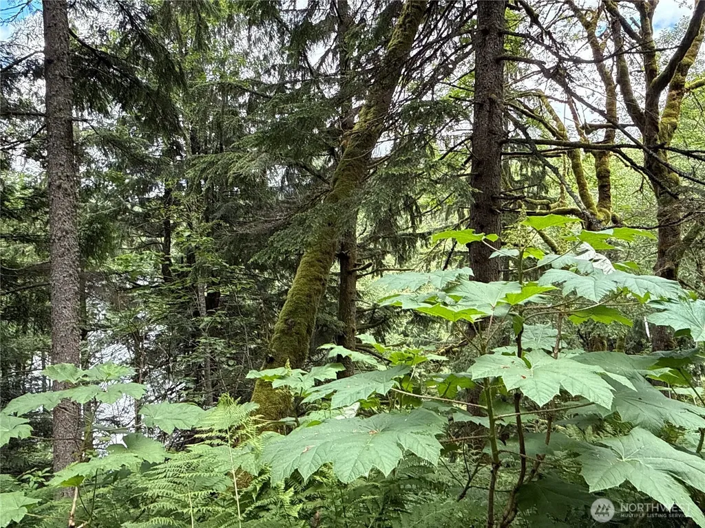 376 E Lake Walker Drive SE Enumclaw WA 98022
