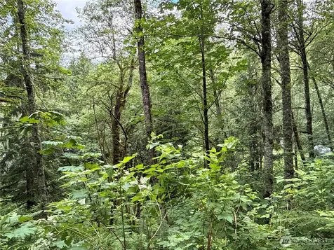 376 E Lake Walker Drive SE Enumclaw WA 98022