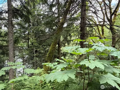 376 E Lake Walker Drive SE Enumclaw WA 98022