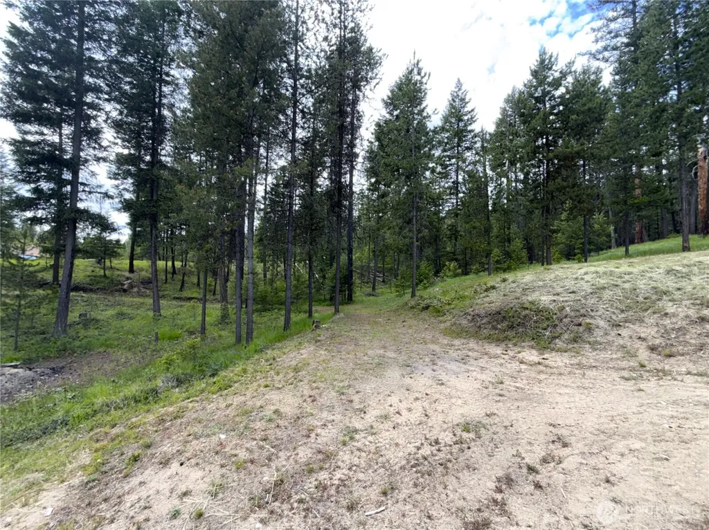 2 Hazel Lane Republic WA 99166