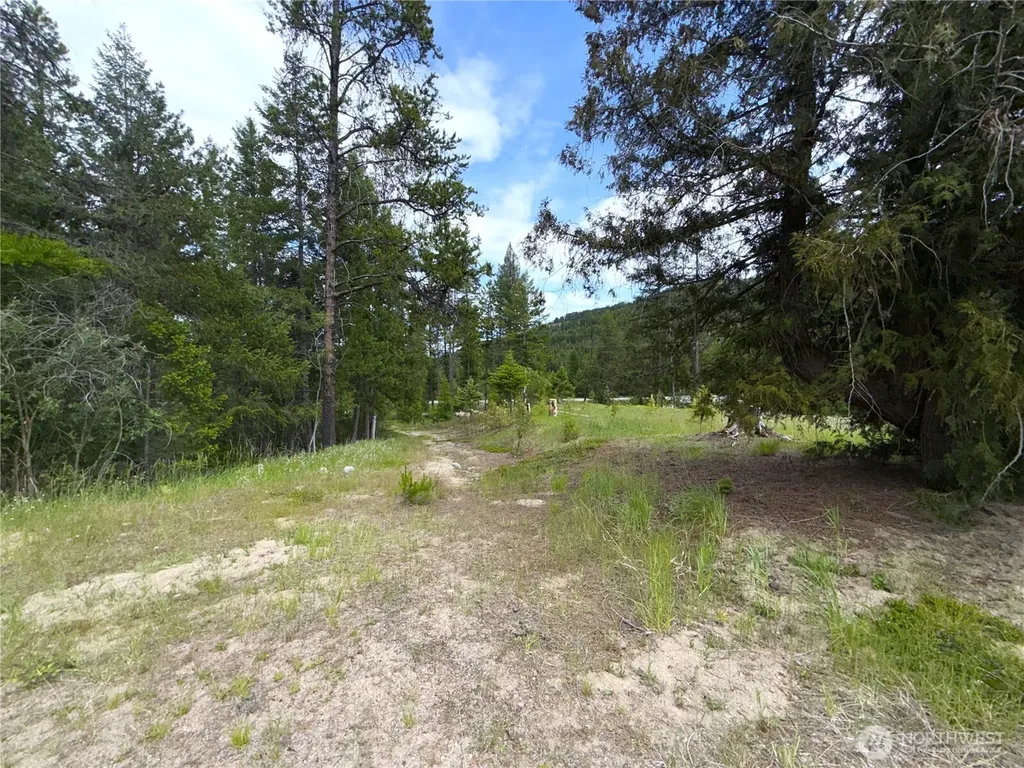 2 Hazel Lane Republic WA 99166
