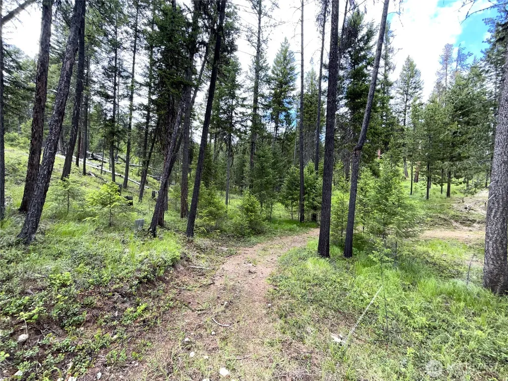 2 Hazel Lane Republic WA 99166