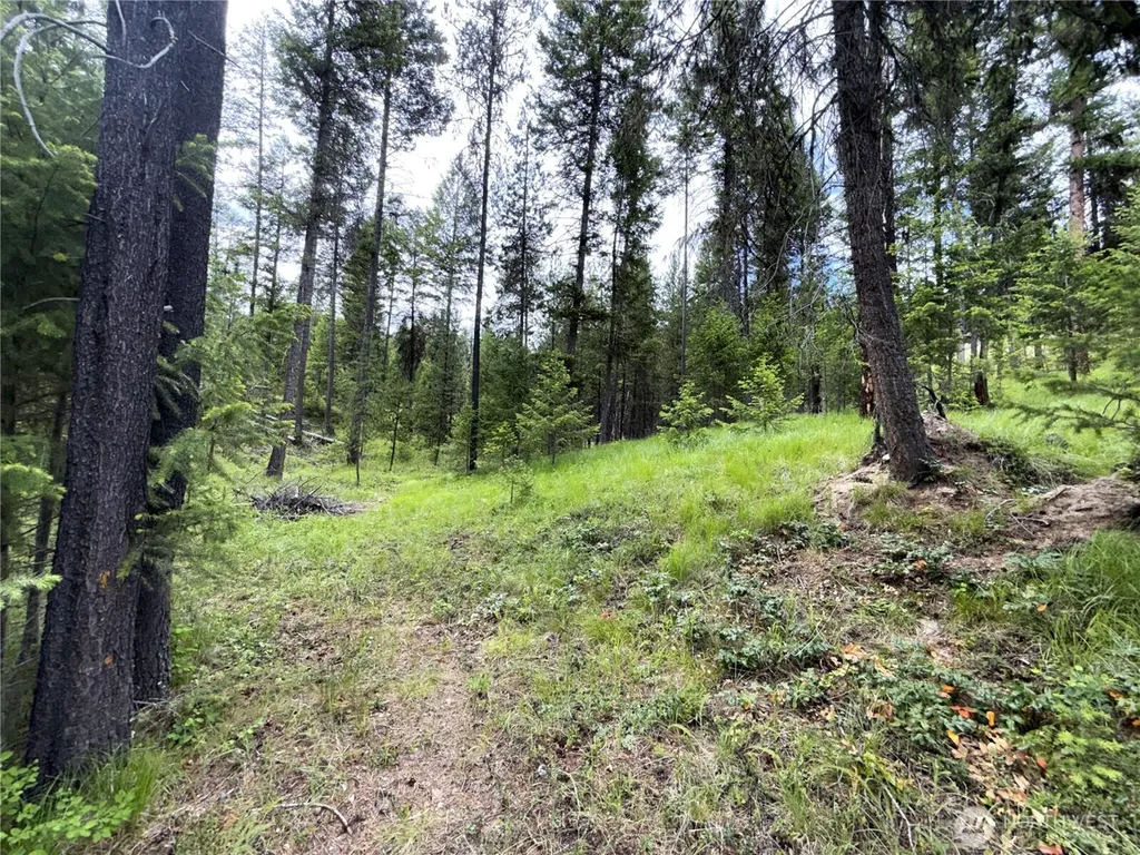 2 Hazel Lane Republic WA 99166