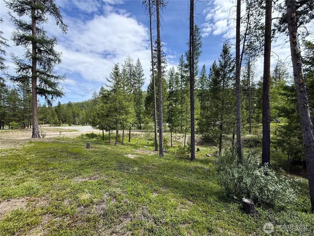 2 Hazel Lane Republic WA 99166