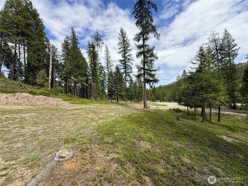 2 Hazel Lane Republic WA 99166