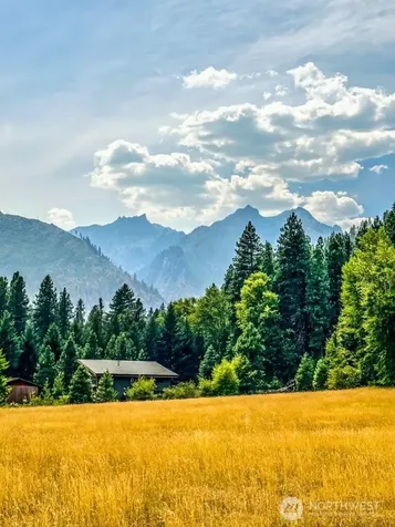 99 Latigo Lane Leavenworth WA 98826