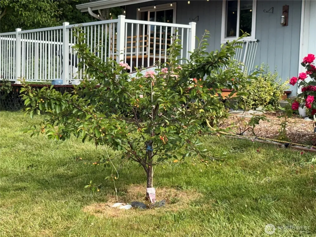 8404 Treevue Blaine WA 98230