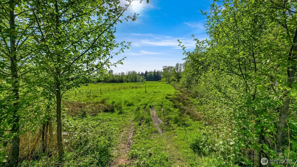 4167 Jones Lane Bellingham WA 98225