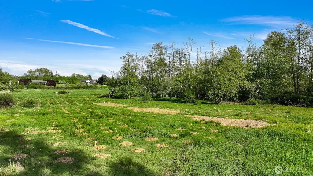 4167 Jones Lane Bellingham WA 98225
