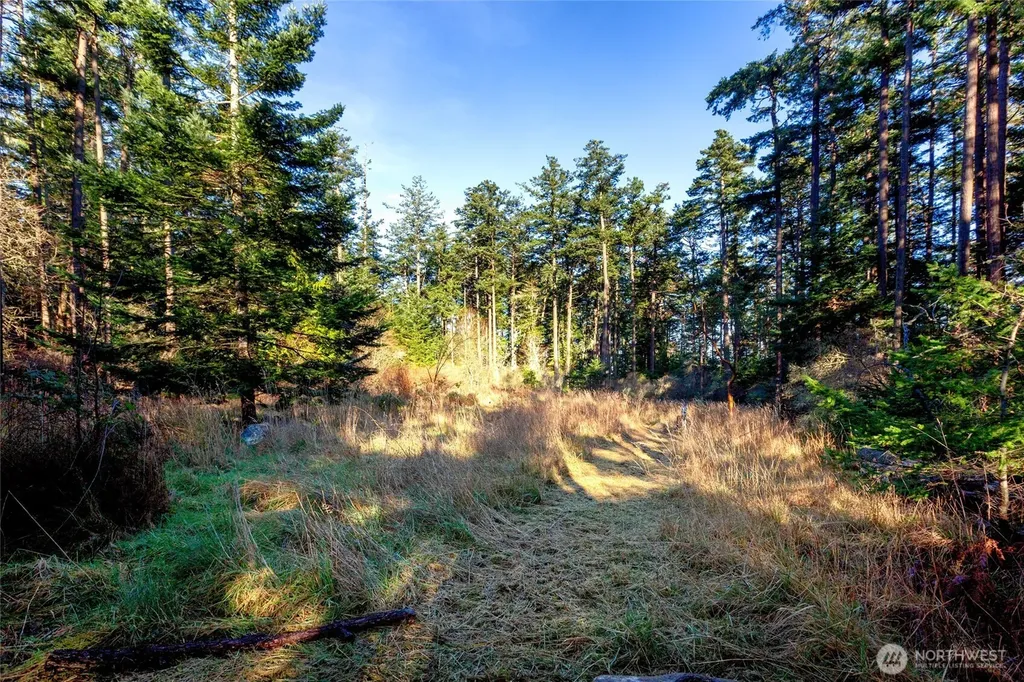 206 Island Drive Friday Harbor WA 98250