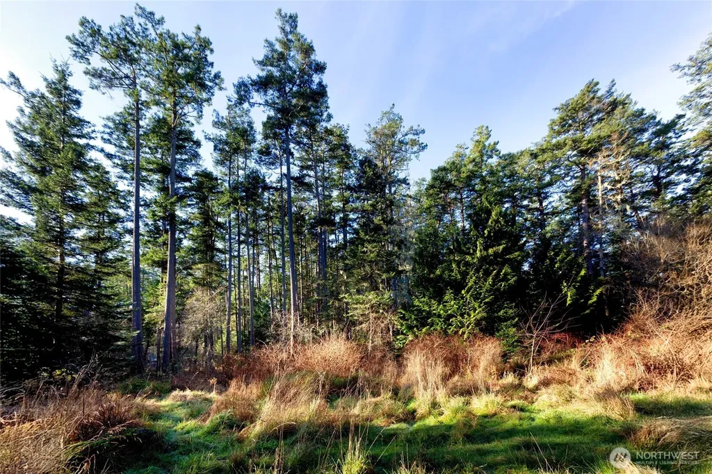 206 Island Drive Friday Harbor WA 98250