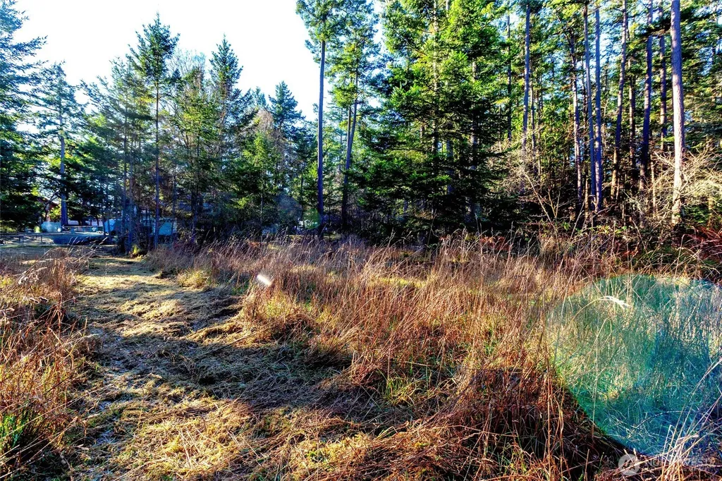 206 Island Drive Friday Harbor WA 98250