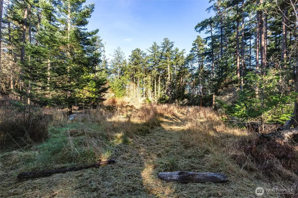 206 Island Drive Friday Harbor WA 98250