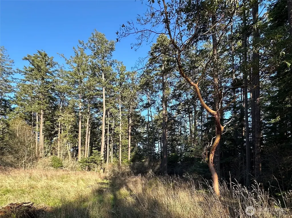 206 Island Drive Friday Harbor WA 98250