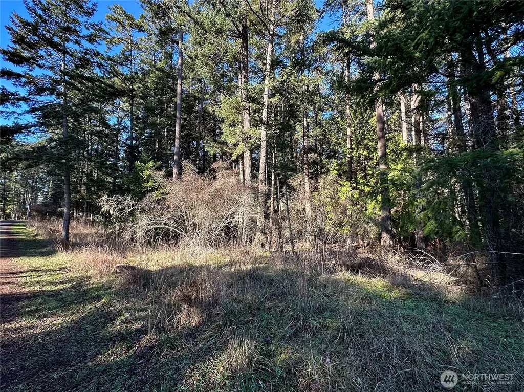 206 Island Drive Friday Harbor WA 98250
