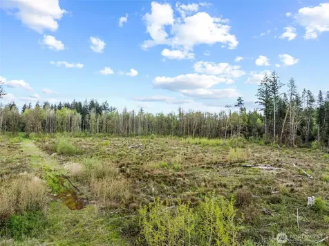 4949 Jackson Highway N Toledo WA 98591