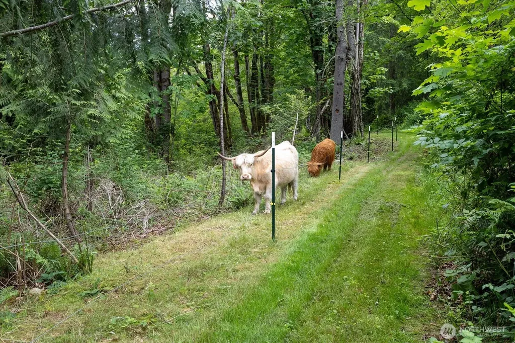 27346 Lake Cavanaugh Road Mount Vernon WA 98274