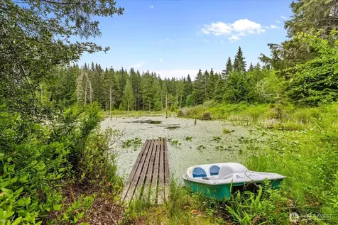 27346 Lake Cavanaugh Road Mount Vernon WA 98274