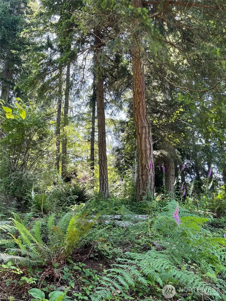 0 Twin Brooks Lane NW Silverdale WA 98383