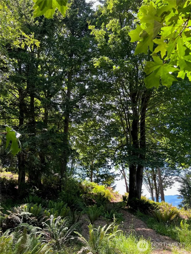 0 Twin Brooks Lane NW Silverdale WA 98383