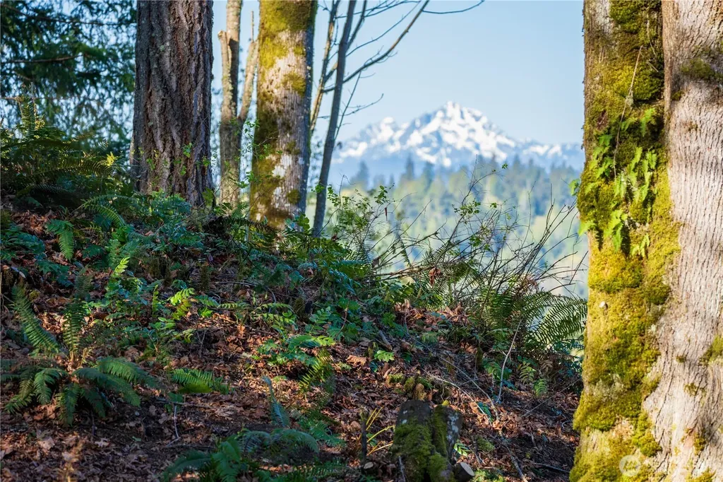 0 Twin Brooks Lane NW Silverdale WA 98383