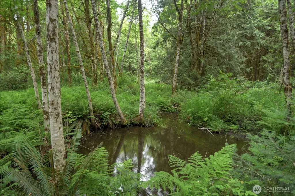 5283 SE Lynch Road Shelton WA 98584