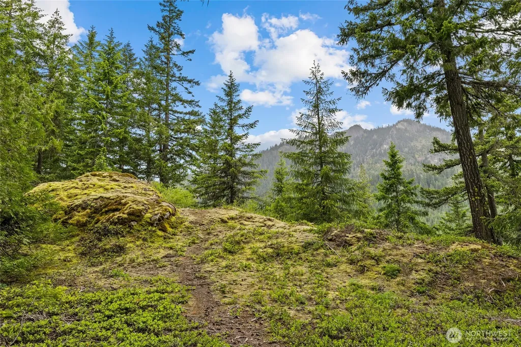 861 Via Kachess Road Easton WA 98925
