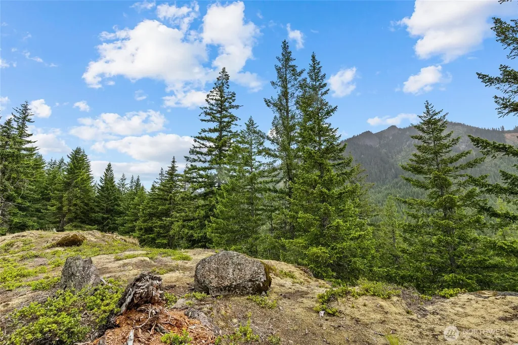 861 Via Kachess Road Easton WA 98925
