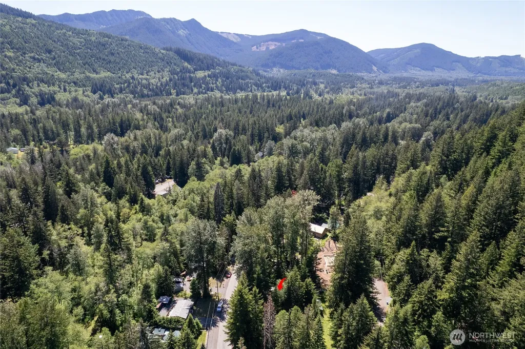 146 Paradise Drive Ashford WA 98304