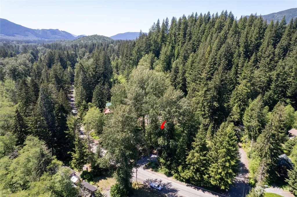 146 Paradise Drive Ashford WA 98304