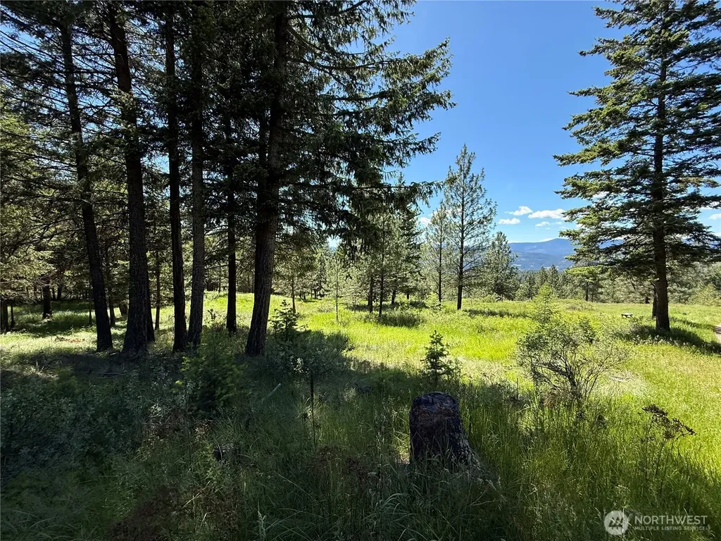 5 Hidden Spring Ranch Road Republic WA 99166