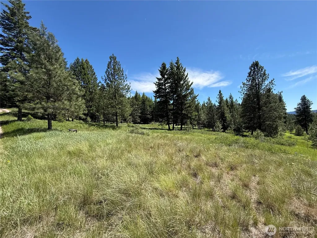 5 Hidden Spring Ranch Road Republic WA 99166