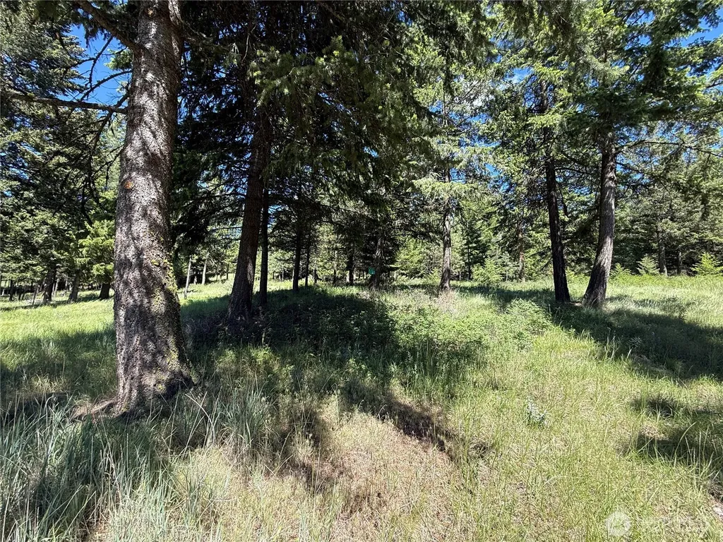 5 Hidden Spring Ranch Road Republic WA 99166