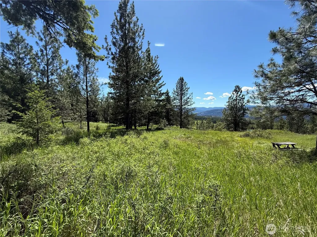 5 Hidden Spring Ranch Road Republic WA 99166