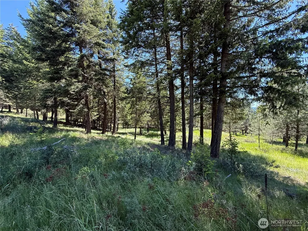 5 Hidden Spring Ranch Road Republic WA 99166
